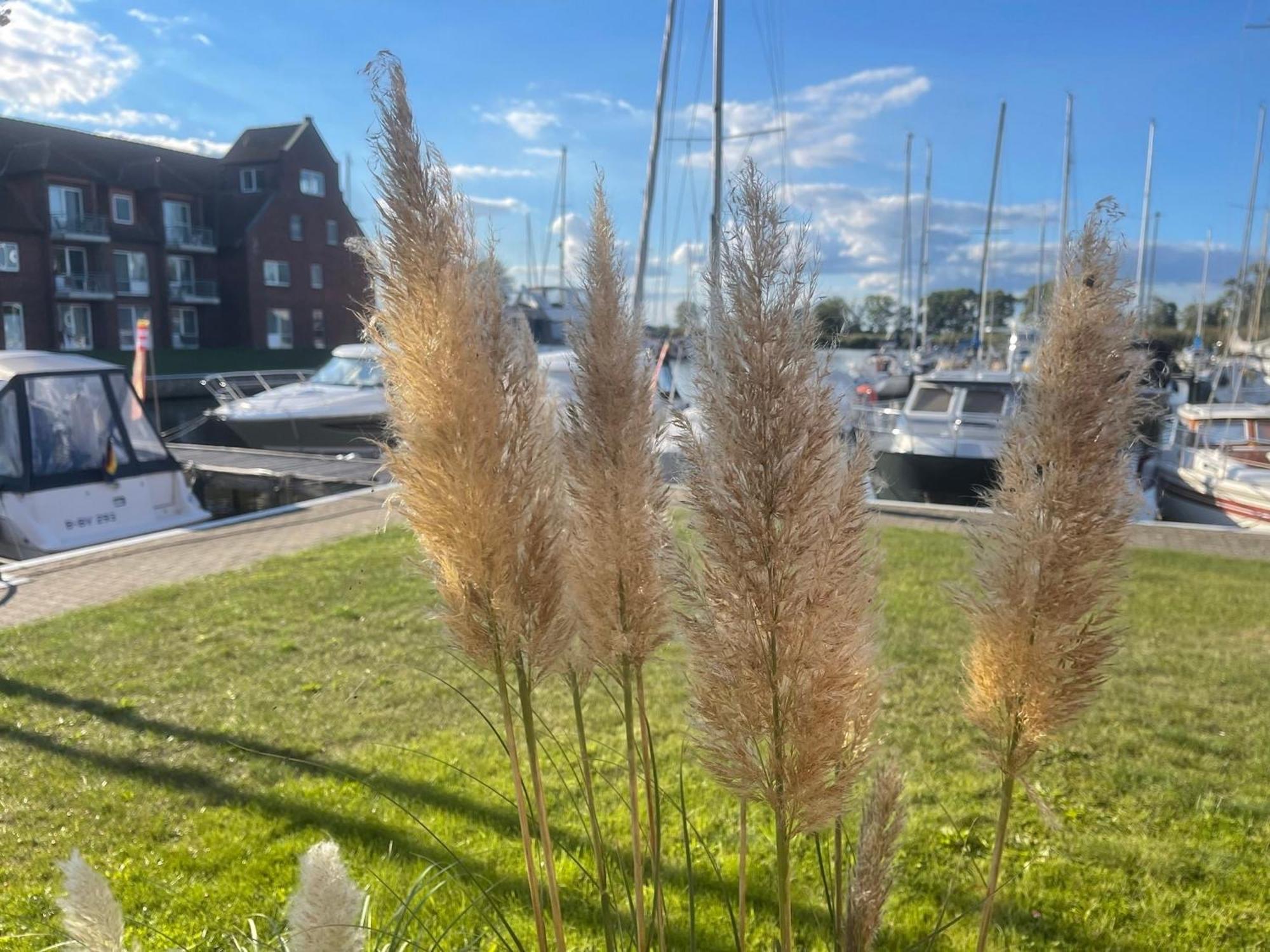 Lagunenstadt Am Haff Fewo 161 - Arielle Daire Ueckermünde Dış mekan fotoğraf